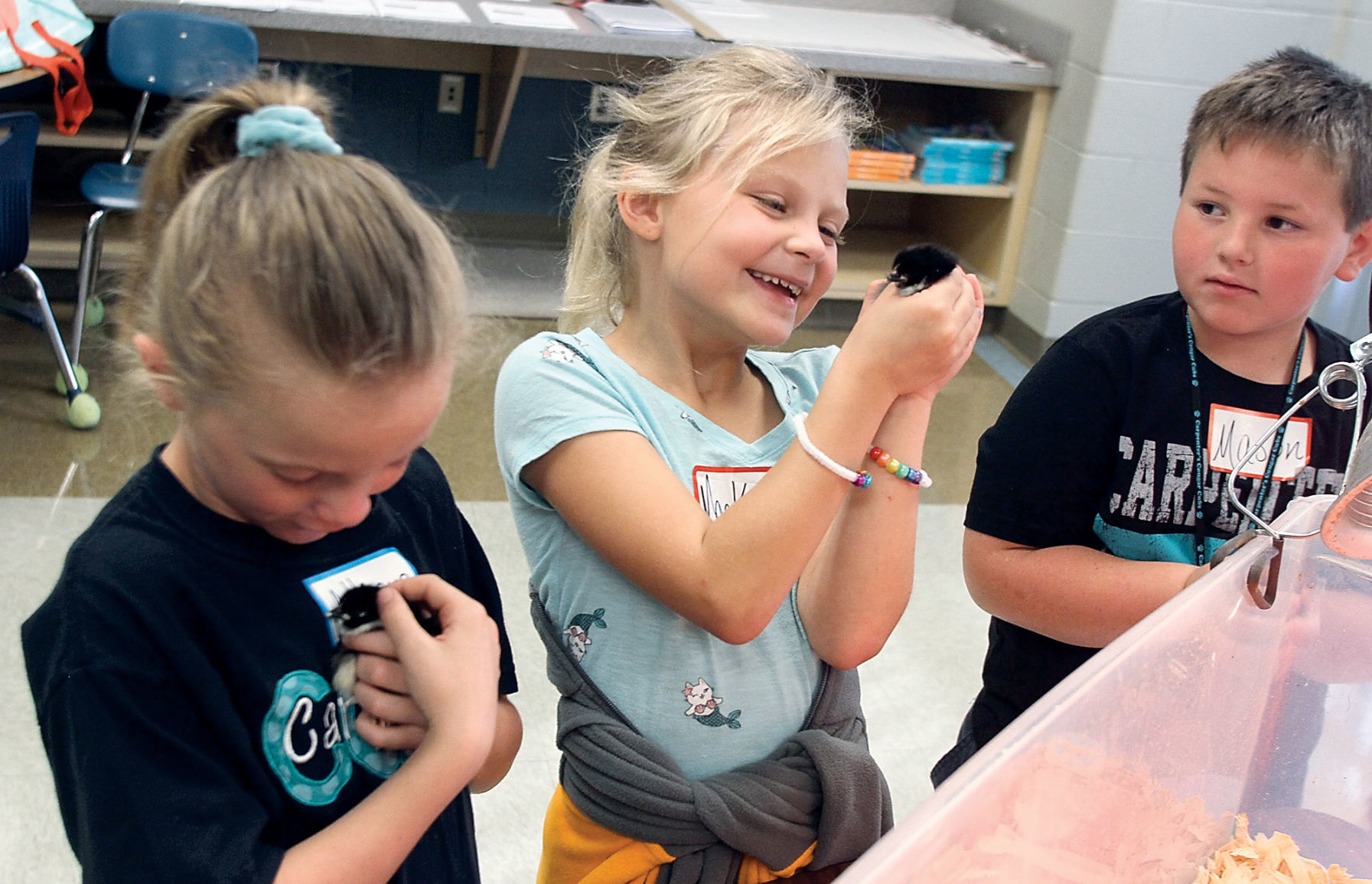 Allison Jordan, Mackynzee Howell and Mason McCulloch hold chicks at Carpenters Elementary School